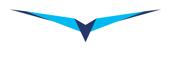 LXNAV HAWK option