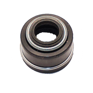 Valve Steam seal 230810