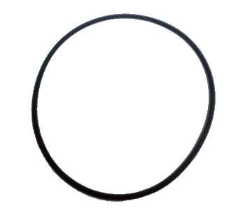 O-ring 250285
