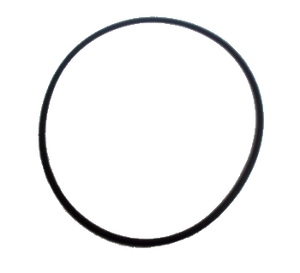 O-ring 250285