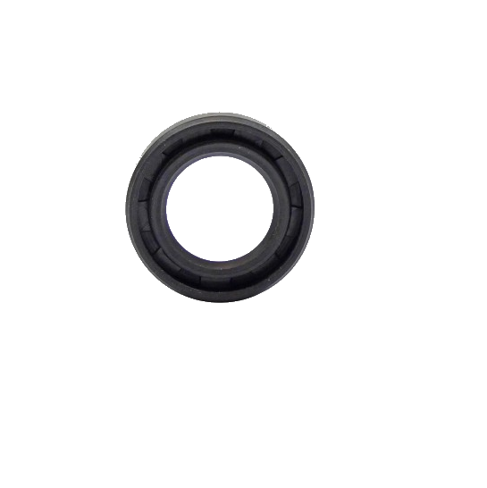 O-ring Rotax 250460