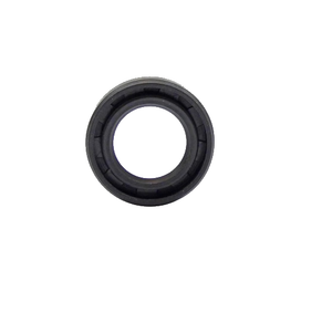 O-ring Rotax 250460