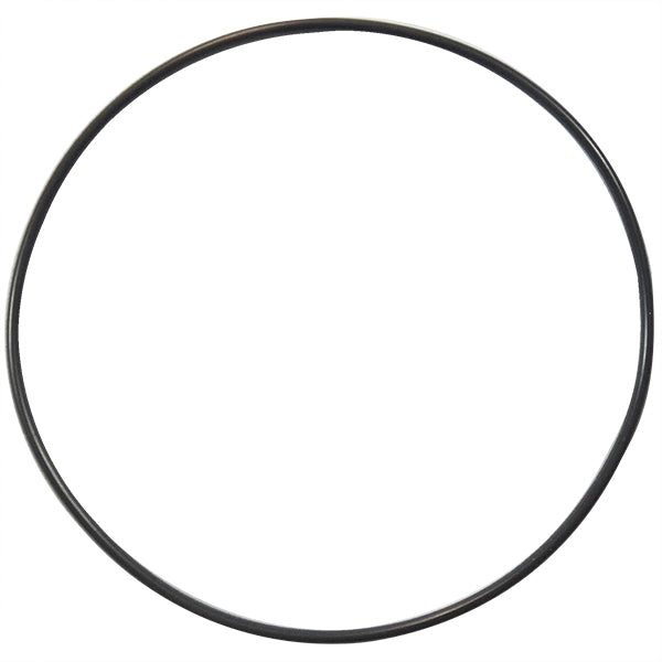 O-ring 250510