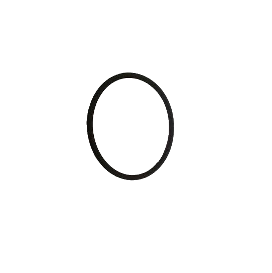 O-ring Rotax 430405