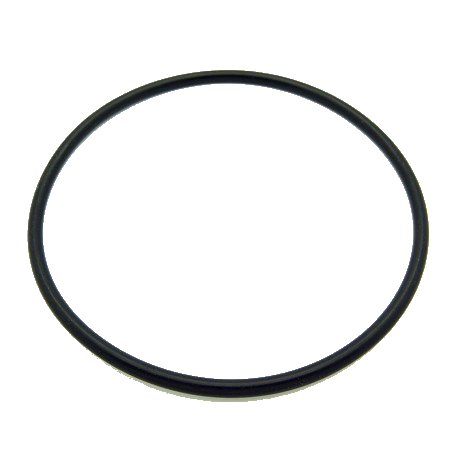 O-ring 230300