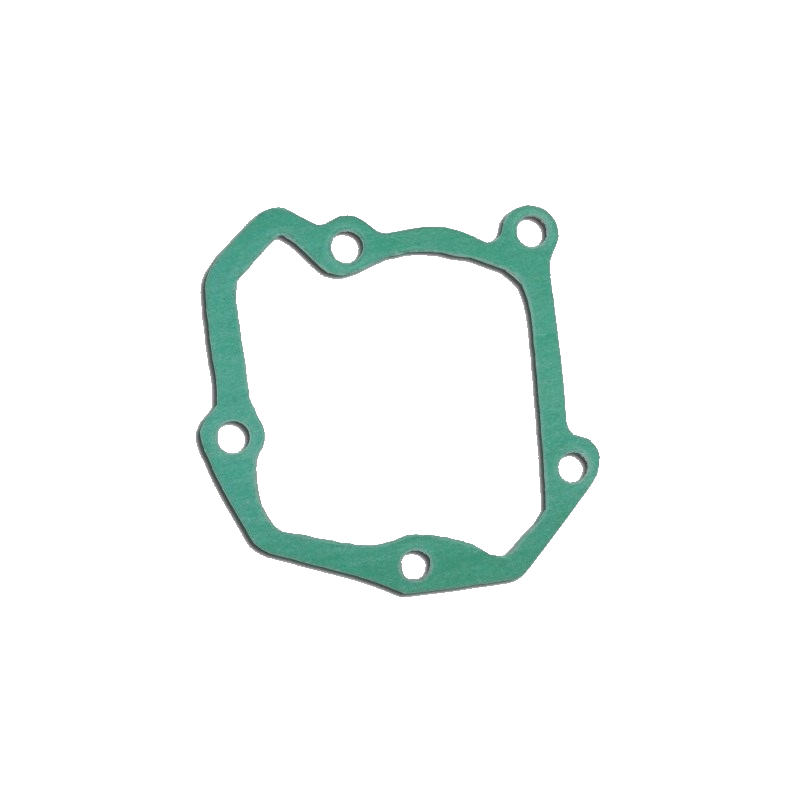 Water pump gasket 850981
