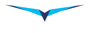 LXNAV HAWK option