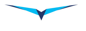 LXNAV HAWK option
