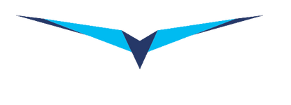 LXNAV HAWK option